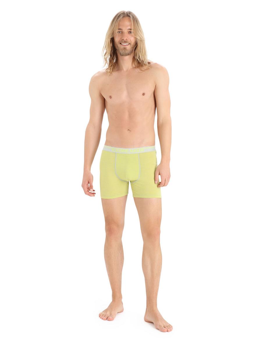 Ether / Shine Icebreaker Merino Anatomica Boxers Men's Underwear | AU 1312RVDW